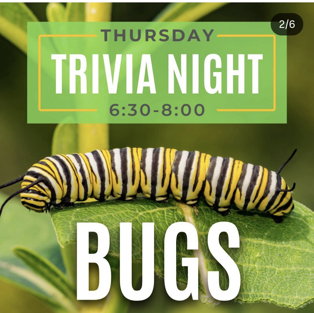 Bugs Trivia