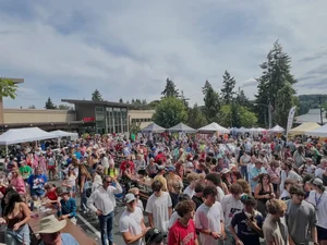 Street Fair & Family Fun Zone